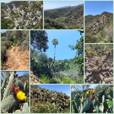 Temescal Gateway Park, Mountains Recreation & Conservation Authority by null