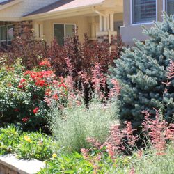 Black Forest Landscape Design Studio