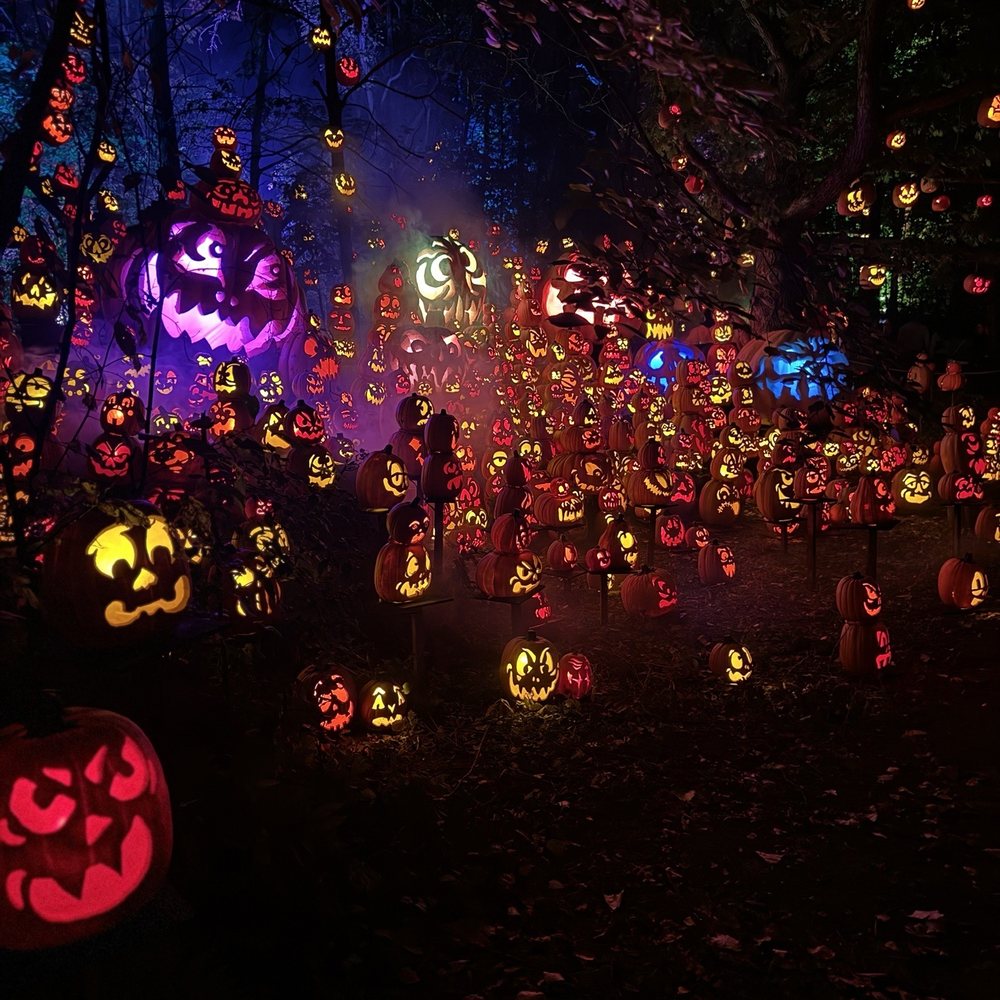 Jack-O-Lantern Spectacular - Zoos Near Me - Apple Valley, Minnesota Jack-O-Lantern Spectacular - Zoos Near Me - Apple Valley, Minnesota