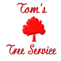 Tom's Tree Service - QCA Tree Trimming & Removal by Tom's Tree Service. Quad Cities and surrounding areas.