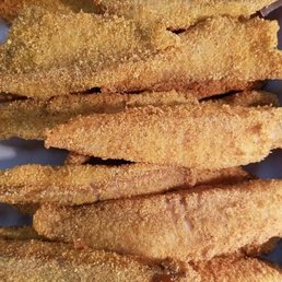 Catfish Catfish