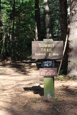Bradbury Mountain State Park by null