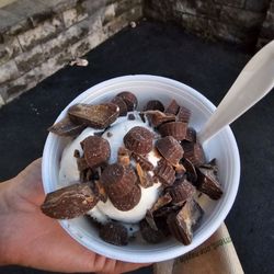 Acushnet Creamery Inc - Ice Cream - Peanut Butter Oreo, Chocolate Oreo Mint, Mini PB Cups