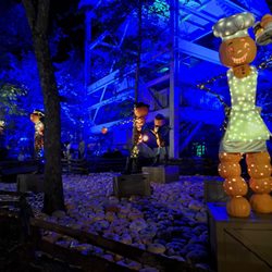 Silver Dollar City - 2023 Fall Festival