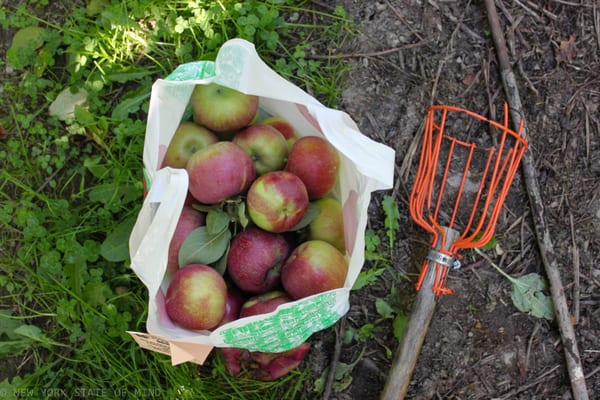 Wilklow Orchards by null