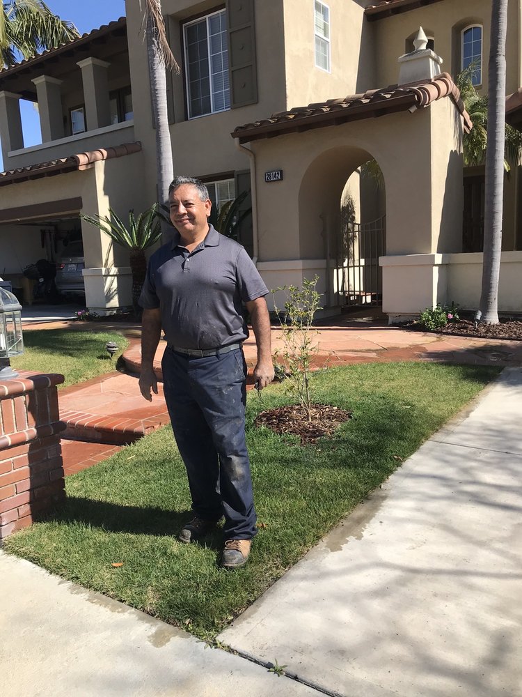 ALTAVISTA LANDSCAPE Updated September 2024 39 Photos & 38 Reviews