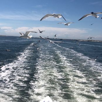 Captain Gillen - Fishing Near Me - Babylon, New York