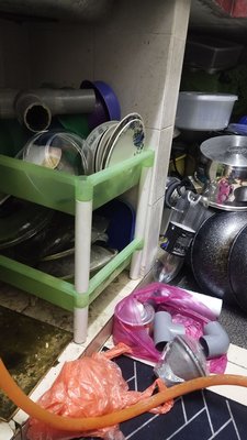 Zoo Negara Malaysia by null