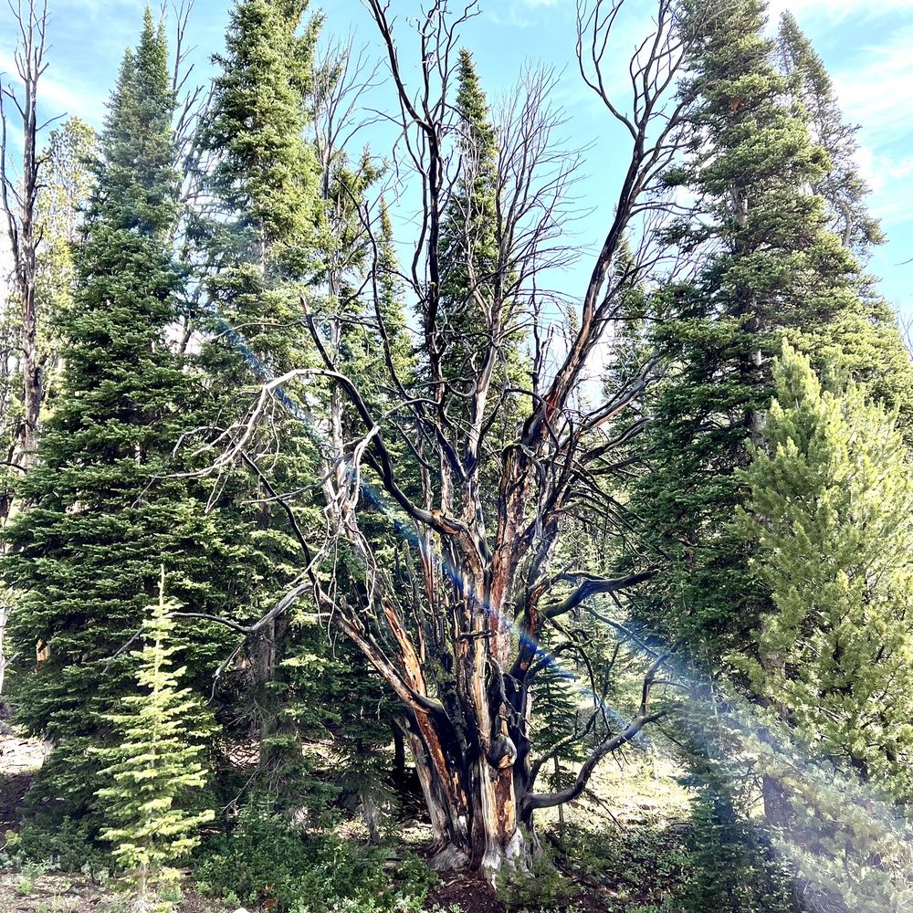 Beehive Basin Trail - Hiking Near Me - Big Sky, Montana Beehive Basin Trail - Hiking Near Me - Big Sky, Montana
