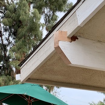 Mister Sprayman Pest Control - No bondo all new wood - Pest Control Near Me - Clovis, California