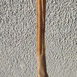 Churro