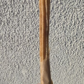 Beach Side Cafe - Churro! - Cafes Near Me - Pacific Palisades, California