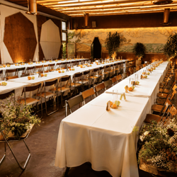 Parlani Party Rentals