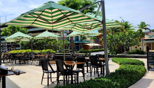 Merriman's Honolulu by null