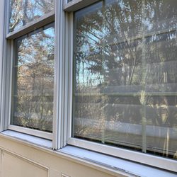 Bearshine Window Cleaning