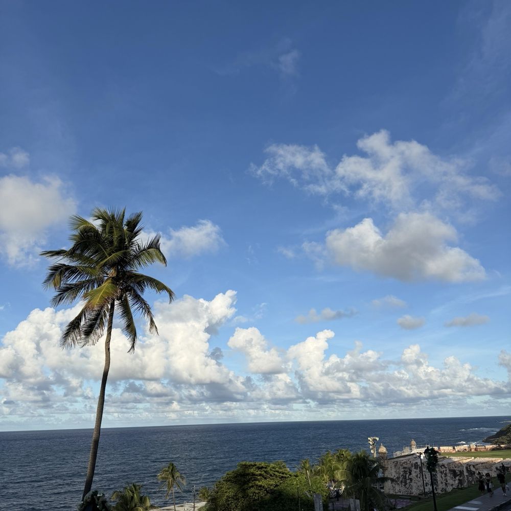 La Verguenza - Caribbean Near Me - San Juan, Puerto Rico La Verguenza - Caribbean Near Me - San Juan, Puerto Rico