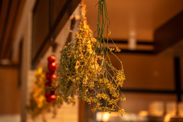 Folia Bar & Kitchen by null