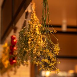 Folia Bar & Kitchen