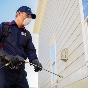 BUDGET PEST CONTROL - Updated October 2025 - 30 Photos & 30 Reviews ...