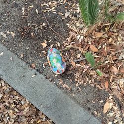 West Manor Park - #DavisRocks