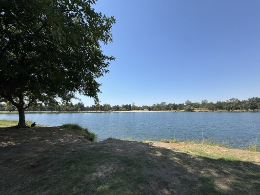 Avocado Lake Park by null