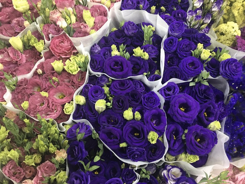 DANGWA FLOWER MARKET Updated October 2024 Dimasalang Road, Manila