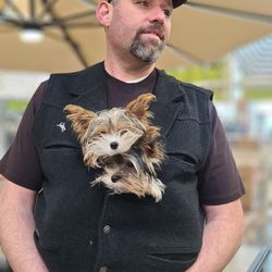 The Home Depot - Fur babies at our Home Depot. Customer approveal