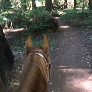 Korobi Stables - Horseback Riding Near Me - Fortuna, California Korobi Stables - Horseback Riding Near Me - Fortuna, California