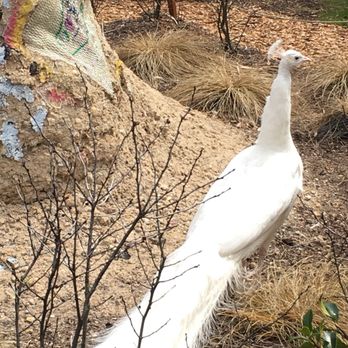 Grounds For Sculpture - Museums Near Me - Hamilton, New Jersey