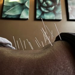 Centreville Chiropractic Center in Centreville gift card