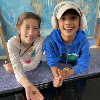 Coastal Camp - Coastal Campers exploring our Marine Lab. - Summer Camps Near Me - Sausalito, California