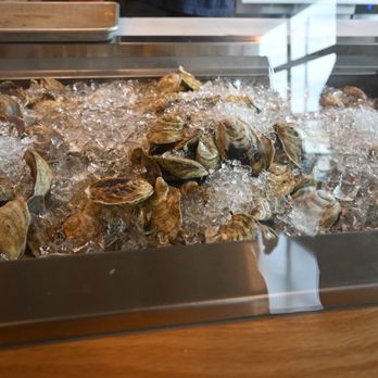 Jolie Rogers Raw Bar - Oysters on ice - Seafood Near Me - Wiscasset, Maine Jolie Rogers Raw Bar - Oysters on ice - Seafood Near Me - Wiscasset, Maine