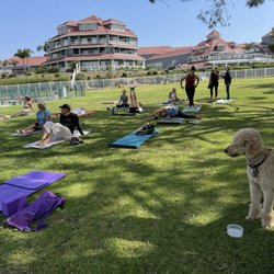 iHeartYoga in the Park