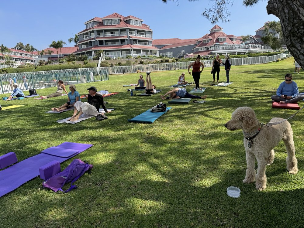 iHeartYoga in the Park Logo