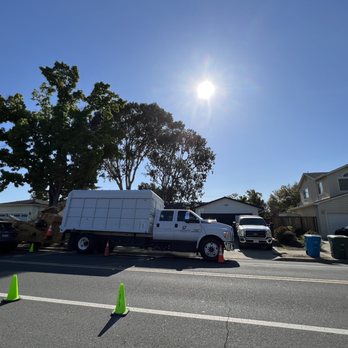 JC's Tree Service - Tree Services Near Me JC's Tree Service - Tree Services Near Me