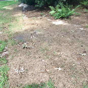 Fertile Green Solutions - More of Fertile Green Landscaping's work - Landscaping Near Me