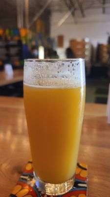 Casa Agria Specialty Ales by null