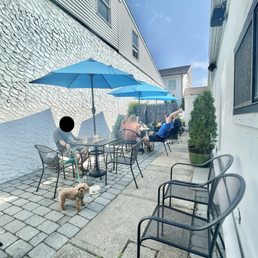a dog sitting on a patio