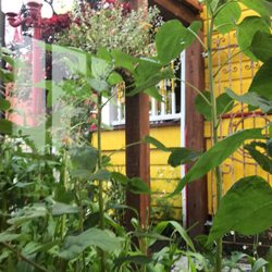 Outside the window, a garden retreat