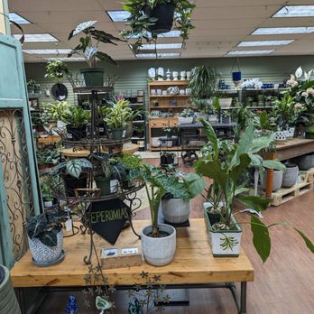 Blackhawk Hardware - Nurseries & Gardening Near Me - Charlotte, North Carolina