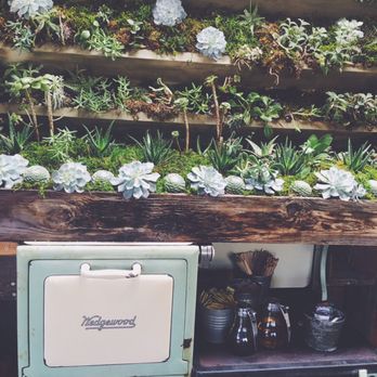 Cafe Topes - Live succulent wall - Coffee & Tea Near Me - Carlsbad, California Cafe Topes - Live succulent wall - Coffee & Tea Near Me - Carlsbad, California