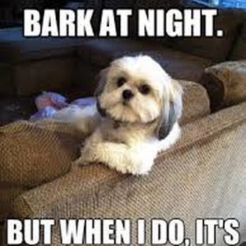 Royal Pet Salon - Pet Groomers Near Me - McAllen, Texas