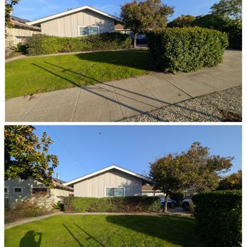 Frank's Yard Clean-Up - Before/after of the front lawn hedges - Landscaping Near Me Frank's Yard Clean-Up - Before/after of the front lawn hedges - Landscaping Near Me
