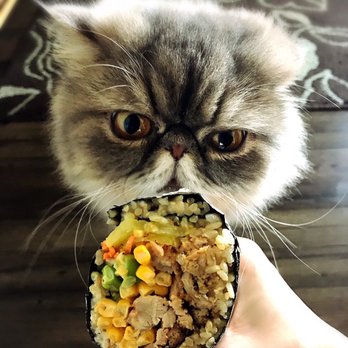 MiSo - Chicken Wrap - Salad Near Me - Lacey, Washington