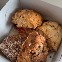 Ventnor No 7311 - Scones!!