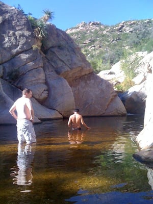 Catalina State Park by null