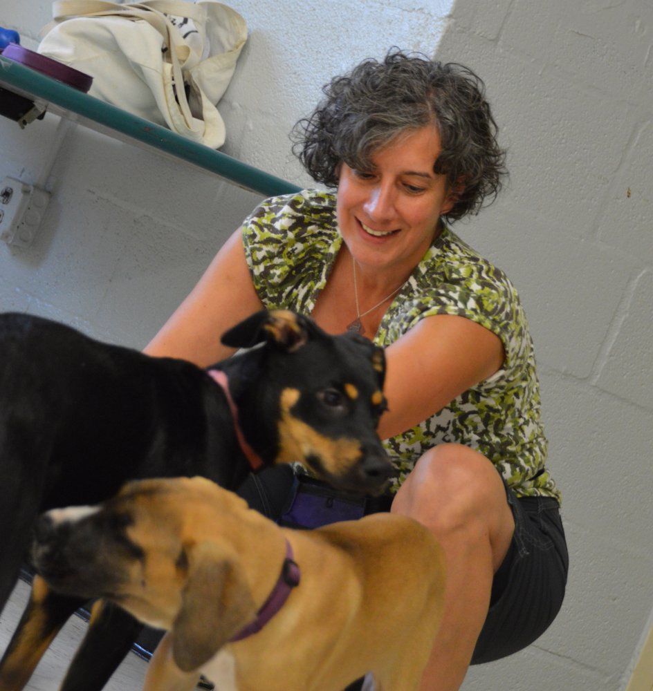 REWARDS DOG TRAINING Updated April 2024 Takoma Park, Maryland Pet Training Phone Number