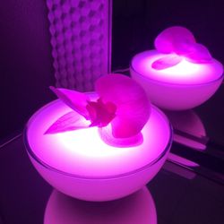 Body Relaxation Studio - Massage room light
