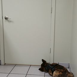My baby boy waiting to see the vet!