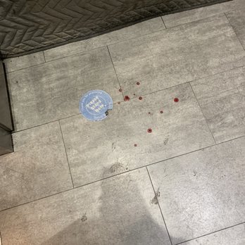 1000 Grand by Windsor - Human feces at entry way left for days - Apartments Near Me - Los Angeles, California 1000 Grand by Windsor - Human feces at entry way left for days - Apartments Near Me - Los Angeles, California